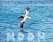 SJCPELICAN004