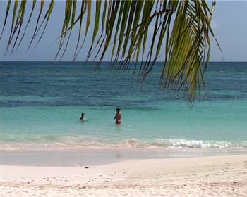 AP09BEACH014