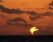 AP10SUNRISE002
