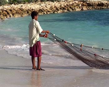 AP10FISHING001