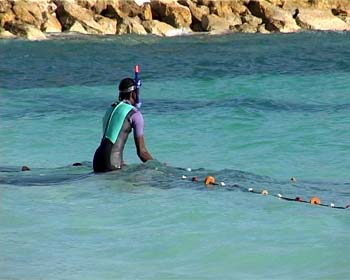 AP10FISHING004