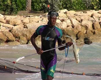 AP10FISHING006