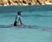 AP10FISHING004