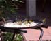 AP09DINING007