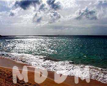 GB05BEACH003
