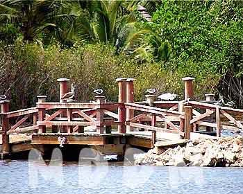 GB04LAGOON007