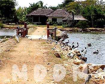 GB04LAGOON021