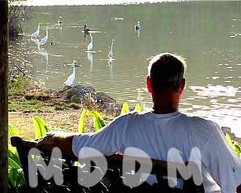 GB05LAGOON041