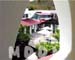 JBDINING028