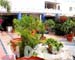 JBCOURTYARD004