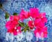 JBFLOWERS001