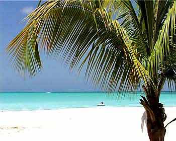 JHV03BEACH007