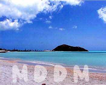 JHV03BEACH2010