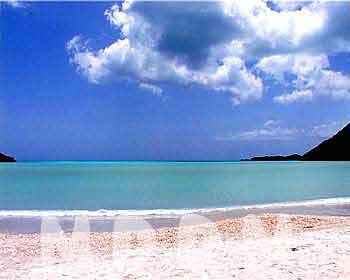 JHV03BEACH2011