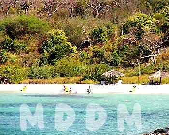 MB09BEACH005