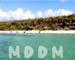 MB10LOVERSBEACH004