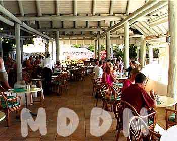 MB10DINING003