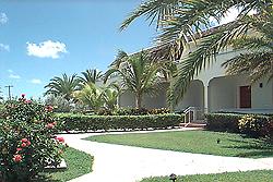 Antigua hotels: Dove Cove Hotel gardens.