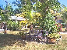 Antigua rentals: Coral Sands Cottages grounds.